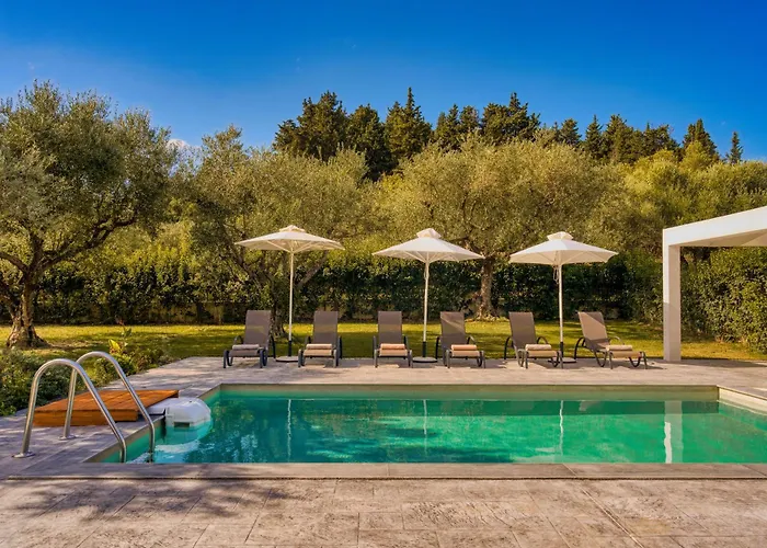 Villa Valeria Luxury - Private Pool - Nestled In Olive Groves Near Tsilivi *