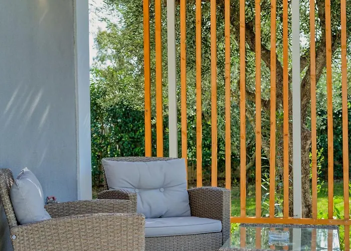 Valeria Luxury - Private Pool - Nestled In Olive Groves Near Tsilivi