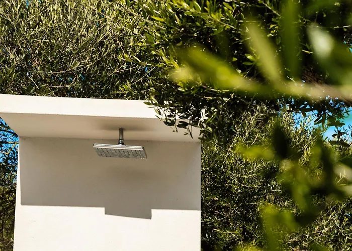 Valeria Luxury - Private Pool - Nestled In Olive Groves Near Tsilivi Villa *