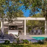 Valeria Luxury - Private Pool - Nestled In Olive Groves Near Tsilivi Villa