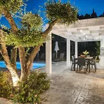 Villa Valeria Luxury - Private Pool - Nestled In Olive Groves Near Tsilivi Planos (Zakynthos)