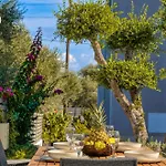 Villa Valeria Luxury - Private Pool - Nestled In Olive Groves Near Tsilivi Planos (Zakynthos)